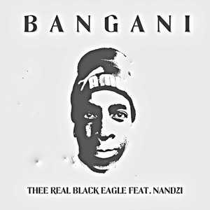 Bangani (Radio Edit)