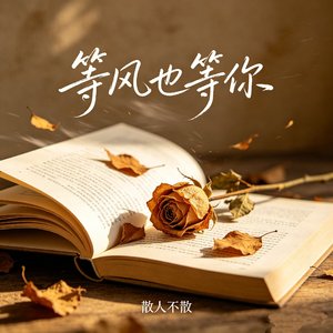 等风也等你（男声遗憾版）