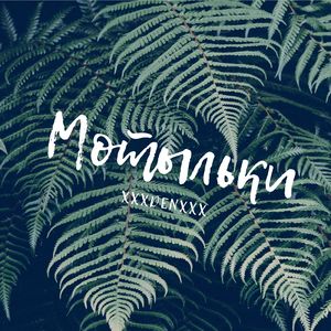 Мотыльки
