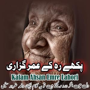 Pukhay Reah Ke Omer Guzari Punjabi Arifana Kalam Ahsan Emre