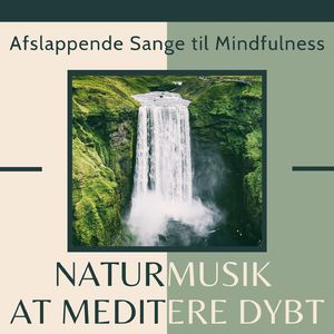 Meditere Dybt