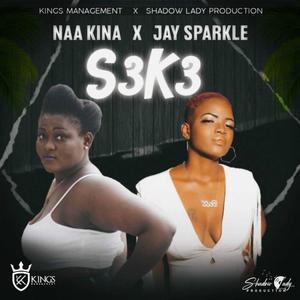 S3K3