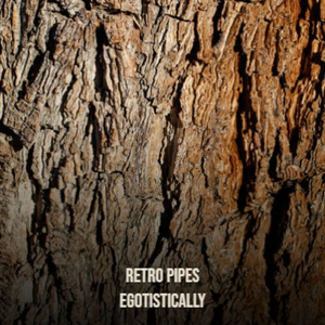 Sting the Police 30s