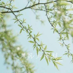 清风上南枝 (Cover 顾叮当)