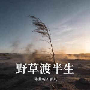 野草渡半生