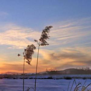 要做了不起的人