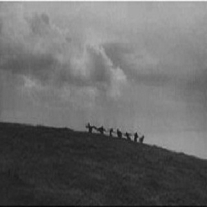 The Forest Leads My Path