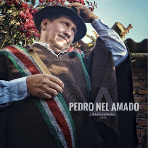 Pedro Nel Amado & la Perra Mocha 2020