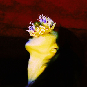 チューベローズ