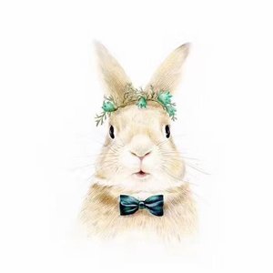 赫马佛洛狄忒斯