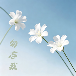 勿忘我