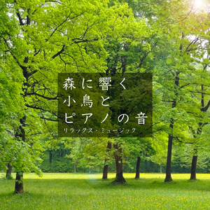 森に響く小鳥とピアノの音 J