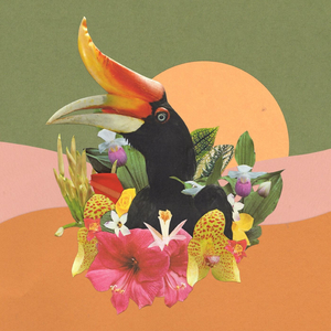 Flight to the Jungle (Landing)