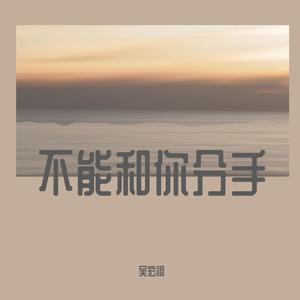 不能和你分手