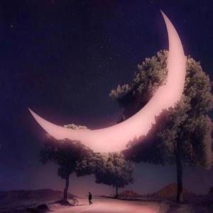 萱草花（治愈女声版）