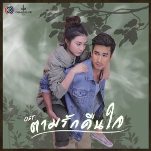 ตามรักคืนใจ (เพลงประกอบละคร ตามรักคืนใจ)