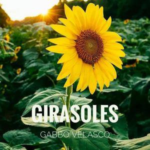 girasoles