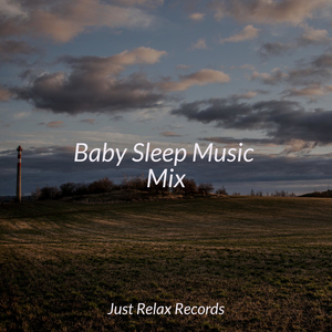 Stardust Connections