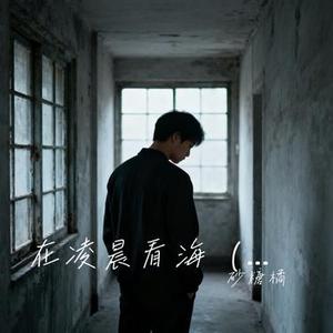 在凌晨看海 (DJ版)