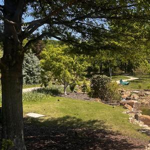 too late, i already found safety in the collapse