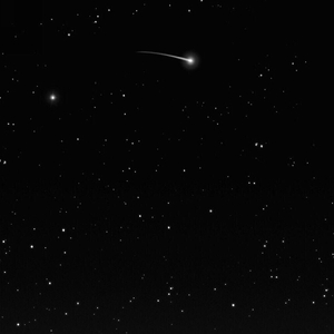 烂泥（Cover 草冬没有派对）（翻自 草冬没有派对）