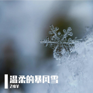 温柔的暴风雪