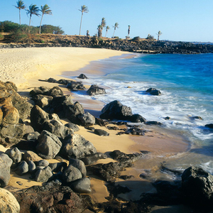 你为什么要流泪