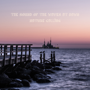 새벽의 파도소리