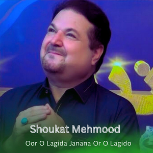 Oor O Lagida Janana Or O Lagido