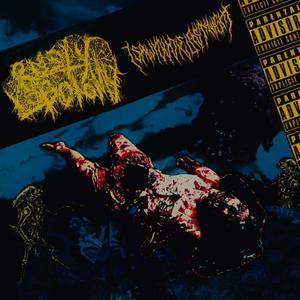 Worlds Drunkest Driver Meets Worlds Sturdiest Tree