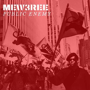 Public Enemy