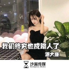 理想三巡 (DJ版)