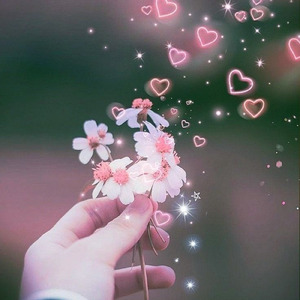 Dream