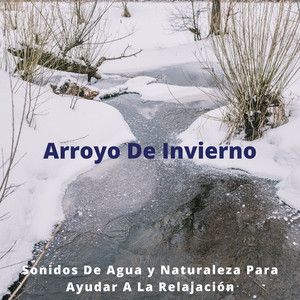 La Nieve y El Frío