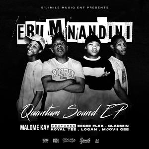 Ebumnandini (feat. Eegee Flex, Royal Tee & Logan)