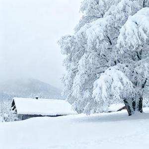 雪下一整夜 (Cover 王佳音)