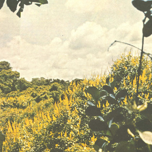 Hasta luego o como hice de mi mismo una casa