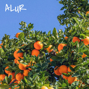 О любви ни слова