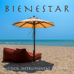 Musica Instrumental Relajante