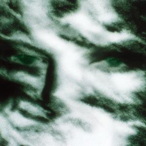 The Specter in the Prompt