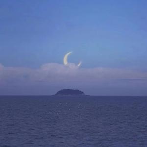 ヽ｀、｀ヽ｀ヽ