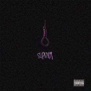 Slipknxt