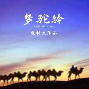 梦驼铃 (伴奏)