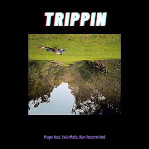 Trippin' (feat. TwizzMatic & Kurt Rosenwinkel)