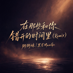 在那些和你错开的时间里(Remix)
