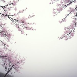 梦中仙境