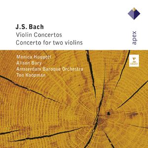 Violin Concerto No. 2 in E Major, BWV 1042:I. Allegro