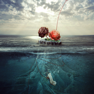 游丝（记岁月是朵两生花）