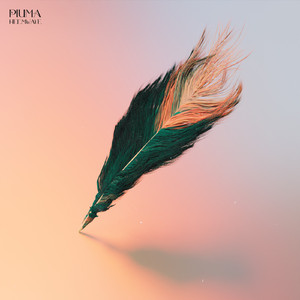 Piuma