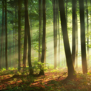 Shan Main Sub Sy Juda Woh